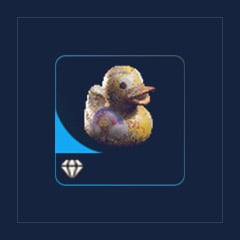 Doodly Duck