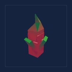 Dragon Fruit Seed