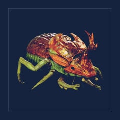 Aberrant Dung Beetle | Lvl Random