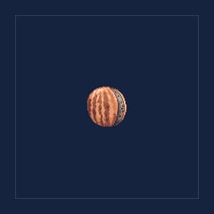 Earth Melon
