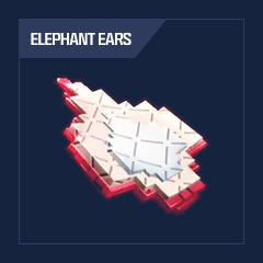 1 x Elephant Ears