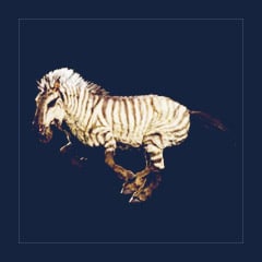 Equus | Lvl 362, 9 Colors [9xPair]