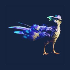 Aberration Featherlight | Lvl 362, 13 Colors [13xPair]