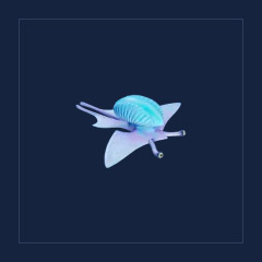 Flash Slug