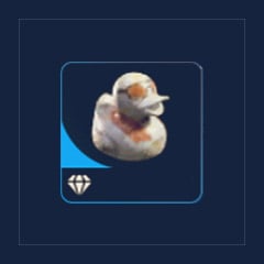 Flashy Duck
