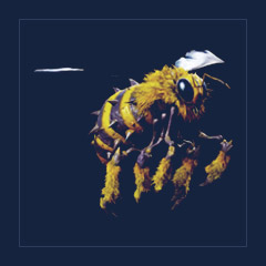 Giant Queen Bee | 16 Colors [x16]