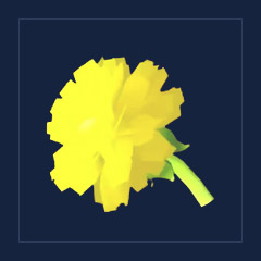 Golden Dandelion