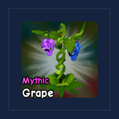 Grape Seed