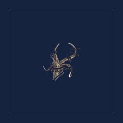 Horns of Korvaak