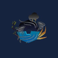 Hurricane Summon Token