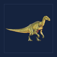 Iguanodon | Lvl 362, 14 Colors [14xPair]