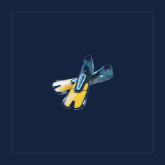 Improved Fins