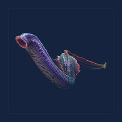 Lamprey | Lvl Random