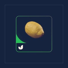 Lemon