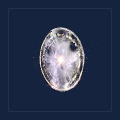 Temporal Lords Portal