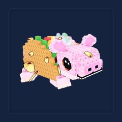 Tipi Topi Taco