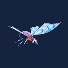 Lymantria | Lvl 362, 6 Colors [6xPair]