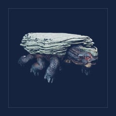 Megachelon | Lvl 180-220, Random Color