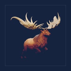 Megaloceros | Lvl 362 | Top Stats