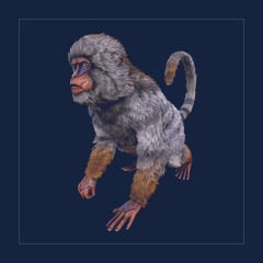 Mesopithecus | Lvl 362 | Top Stats