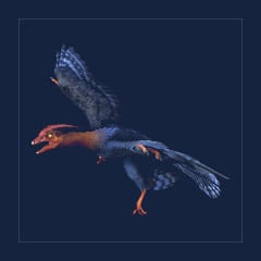 Microraptor | Lvl 362 | Top Stats