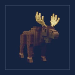 Moose