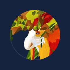 Mooslmossle