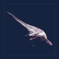 Mosasaurus | Lvl 362, 11 Colors [11xPair]