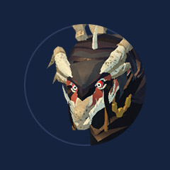 Nok'Tuun