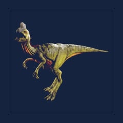 Oviraptor | Lvl 362 | Top Stats