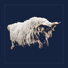 Ovis | Top Stats [x120]