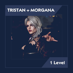 [1 LVL] Merlin + Morgana |️ 2300+ crystals | 2 Legendary & Special Summon