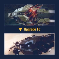 Upgrade - Paladin to Valkyrie