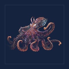 Palaeoctopus | Lvl 208, Random Color