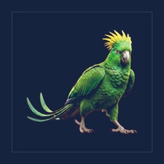 Parrot | Lvl 188-217, Random Color