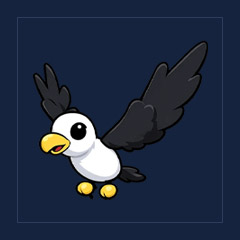 Pilot Gull
