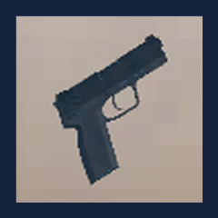 Pistol