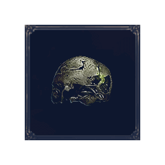 Preserved Cranium