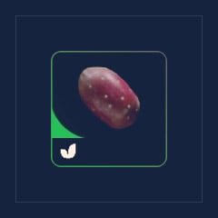 Prickly Pear