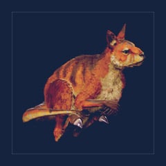 Procoptodon | Lvl 362, 12 Colors [12xPair]
