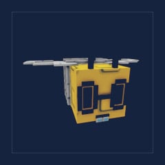 Professor Bee