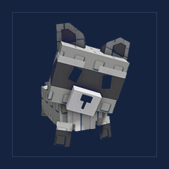Raccoon