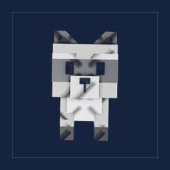 Raccoon
