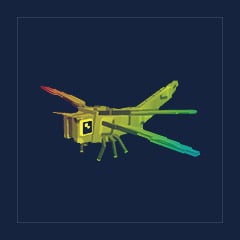 Rainbow Golden Dragonfly