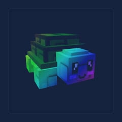 Rainbow Turtle