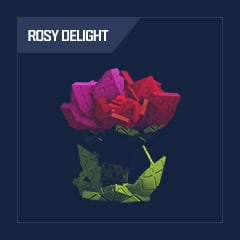 Rosy Delight | No Email