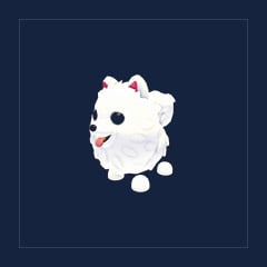 Samoyed