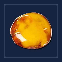 Sap [x3.6K]