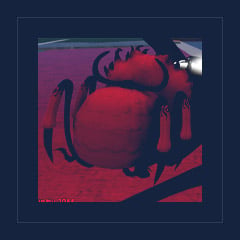 Saturn Fruit