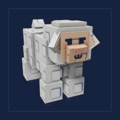 Sheep